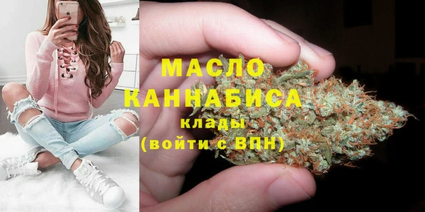 шишки Абаза