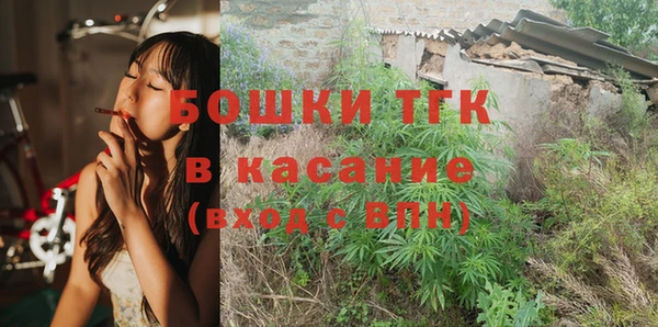 шишки Абаза