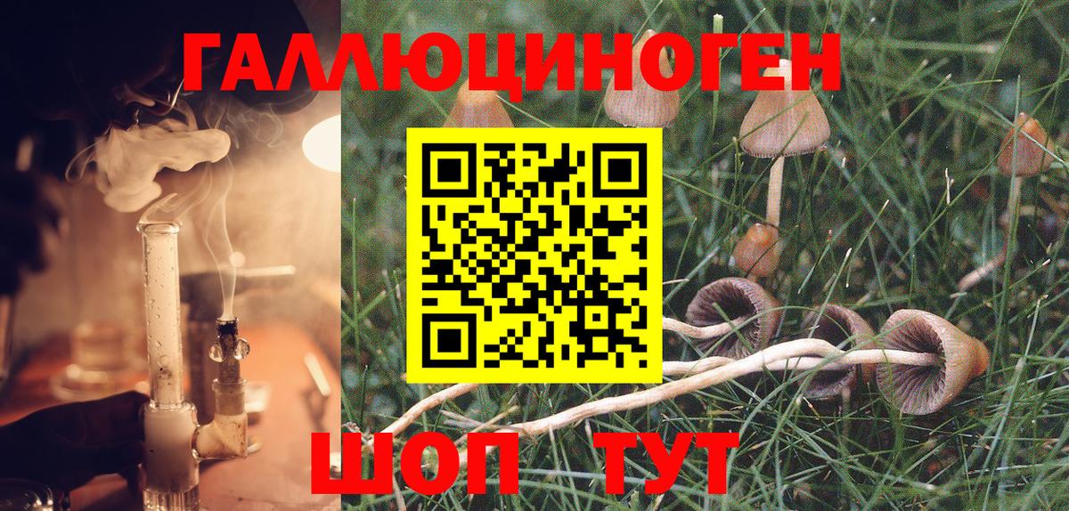 Галлюциногенные грибы GOLDEN TEACHER Фролово