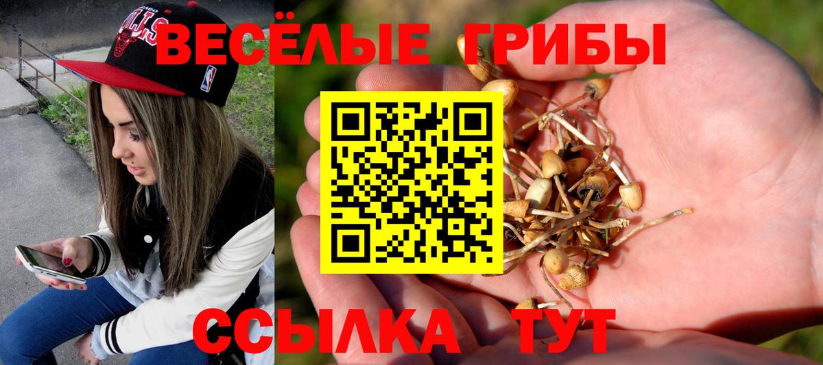 Фролово  купить закладку  Галлюциногенные грибы Psilocybine cubensis  Вход с VPN  Галлюциногенные грибы мухоморы 